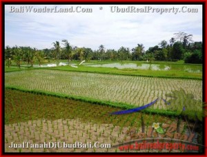 JUAL MURAH TANAH di UBUD 35 Are View sawah da gunung