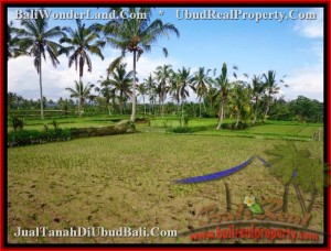 DIJUAL TANAH MURAH di UBUD 35 Are di Ubud Tegalalang