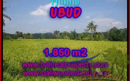 JUAL MURAH TANAH di UBUD 18.5 Are di Ubud Tegalalang