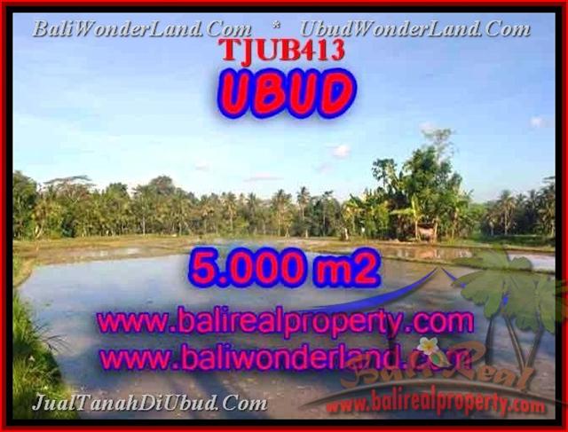 JUAL MURAH TANAH di UBUD 50 Are view sawah dan gunung