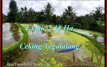 INVESTASI PROPERTY, TANAH MURAH di UBUD TJUB471