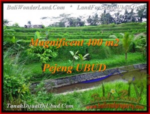 DIJUAL TANAH MURAH di UBUD TJUB483