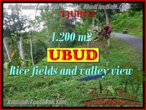 DIJUAL TANAH MURAH di UBUD 1,200 m2 di Ubud Tegalalang