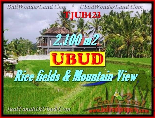 TANAH DIJUAL di UBUD Untuk INVESTASI TJUB423