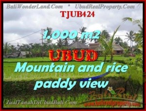 TANAH MURAH di UBUD BALI 10 Are view sawah gunung dan tebing