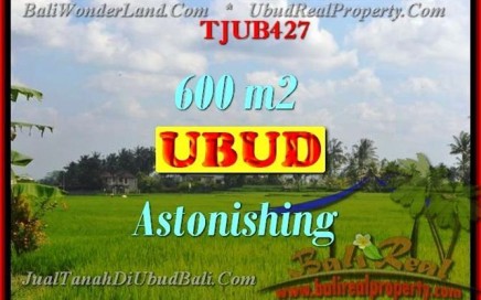 TANAH di UBUD BALI DIJUAL 6 Are di Ubud Tegalalang