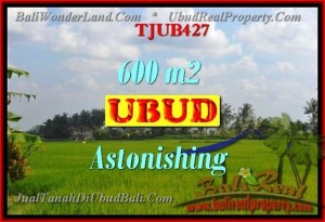 TANAH JUAL MURAH UBUD BALI 600 m2 View sungai dan sawah