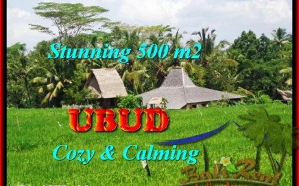 TANAH DIJUAL di UBUD BALI 5 Are di Ubud Payangan