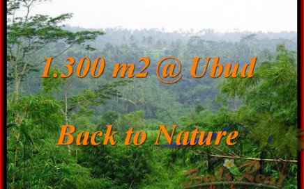 JUAL MURAH TANAH di UBUD 1,300 m2 View Tebing dan Kebun