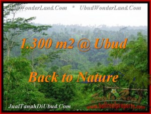 TANAH di UBUD BALI DIJUAL 1,300 m2 di Ubud Tegalalang