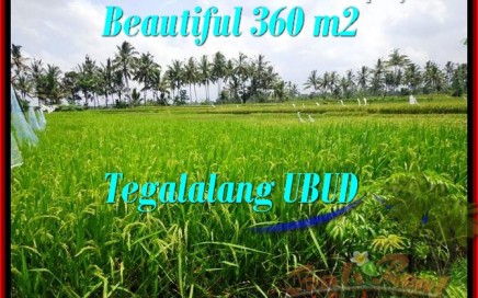 TANAH DIJUAL di UBUD 360 m2 di Ubud Tegalalang