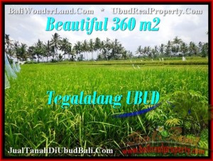 TANAH di UBUD DIJUAL 3.6 Are di Ubud Tegalalang