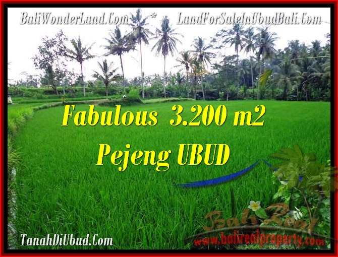 INVESTASI PROPERTI, TANAH di UBUD BALI DIJUAL TJUB484