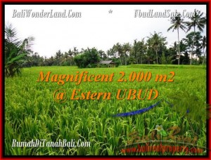 INVESTASI PROPERTI, TANAH di UBUD DIJUAL TJUB485