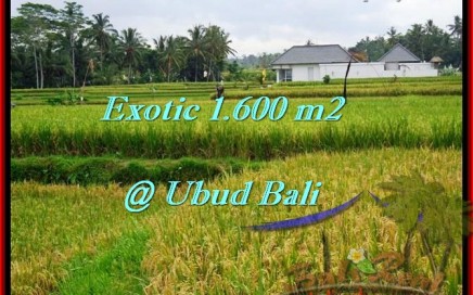 INVESTASI PROPERTI, TANAH di UBUD DIJUAL TJUB487