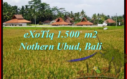 TANAH MURAH di UBUD 1,500 m2 di Sentral Ubud