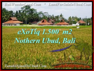 JUAL MURAH TANAH di UBUD TJUB488