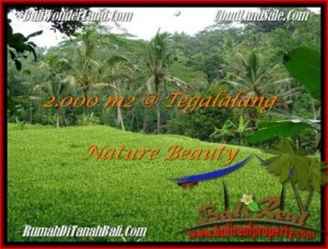 JUAL TANAH di UBUD BALI 2,000 m2 View sawah, sungai dan tebing