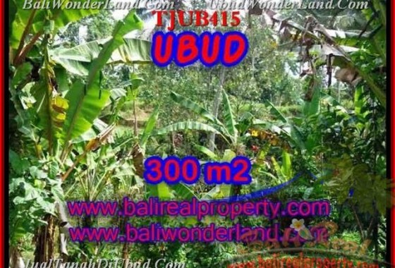 JUAL MURAH TANAH di UBUD Untuk INVESTASI TJUB415