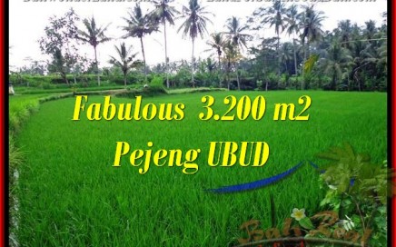 TANAH DIJUAL MURAH di UBUD BALI 3,200 m2 di Ubud Pejeng