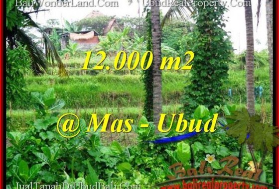 JUAL TANAH di UBUD BALI 12,000 m2 View sawah dan sungai