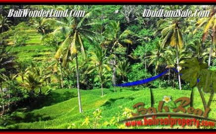 JUAL TANAH di UBUD Untuk INVESTASI TJUB496