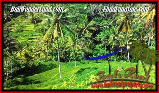 DIJUAL TANAH MURAH di UBUD Untuk INVESTASI TJUB496