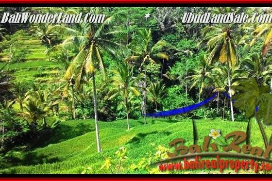 TANAH DIJUAL MURAH di UBUD BALI TJUB496