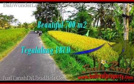 TANAH MURAH DI BALI, TANAH DIJUAL DI UBUD, JUAL TANAH DI UBUD, tanah, tanah di Bali dijual, tanah di UBUD Bali dijual, tanah di UBUD dijual, TANAH MURAH DI UBUD Bali, INVESTASI PROPERTI DI BALI