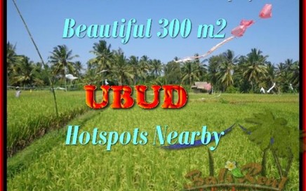 TANAH DIJUAL di UBUD 300 m2 View sawah link villa