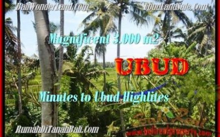 JUAL TANAH MURAH di UBUD 30 Are View sawah dan sungai link villa