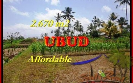 TANAH MURAH di UBUD JUAL 26,7 Are View kebun dan pangkung