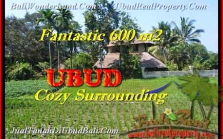 TANAH DIJUAL di UBUD BALI 600 m2 View sawah link Villa