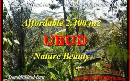 JUAL TANAH di UBUD 2.400 m2 View Kebun dan tebing