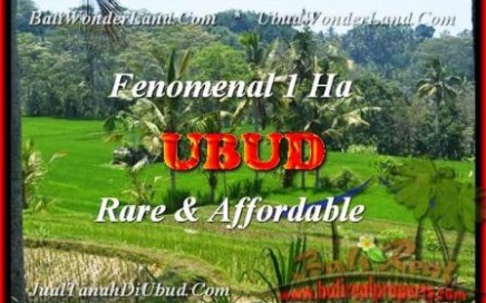 TANAH DIJUAL di UBUD BALI 100 Are di Ubud Pejeng