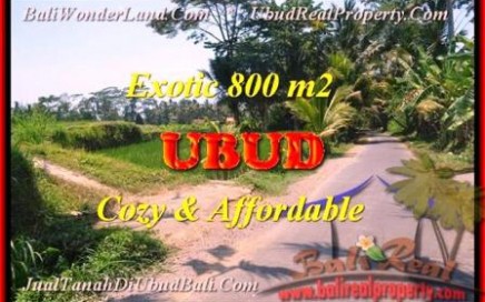 JUAL MURAH TANAH di UBUD BALI 800 m2 View Sawah dan pangkung