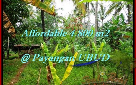 JUAL TANAH MURAH di UBUD BALI 48 Are View tebing dan sungai