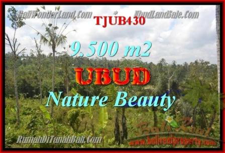 TANAH MURAH di UBUD 9,500 m2 di Ubud Payangan