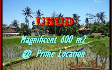 DIJUAL TANAH MURAH di UBUD BALI TJUB436