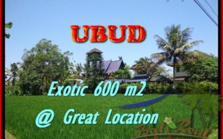 TANAH DIJUAL di UBUD Untuk INVESTASI TJUB437