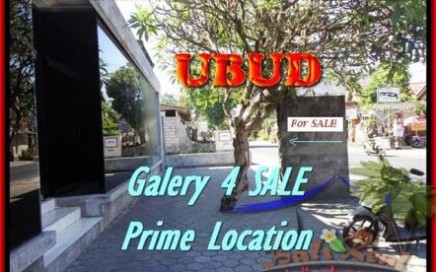 TANAH di UBUD BALI DIJUAL 19 Are di Sentral Ubud