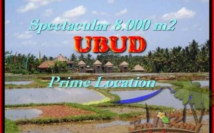 TANAH MURAH di UBUD 8.000 m2 View Sawah, Sungai, Gunung