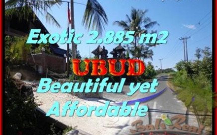 JUAL MURAH TANAH di UBUD BALI Untuk INVESTASI TJUB442