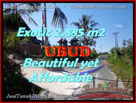 JUAL MURAH TANAH di UBUD BALI Untuk INVESTASI TJUB442