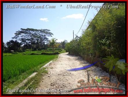 INVESTASI PROPERTI, TANAH DIJUAL di UBUD TJUB442