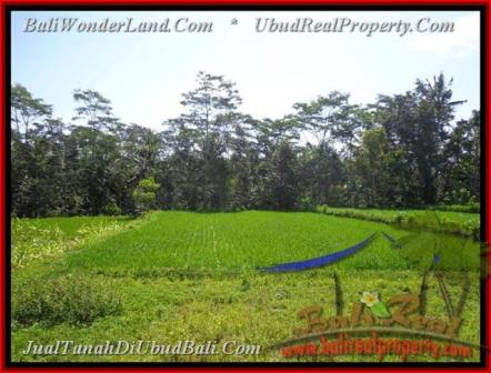 TANAH MURAH di UBUD 2.885 m2 View Sawah dan sungai Kecil