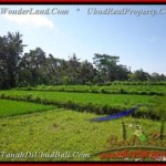 TANAH di UBUD BALI DIJUAL 28,85 Are di Ubud Pejeng