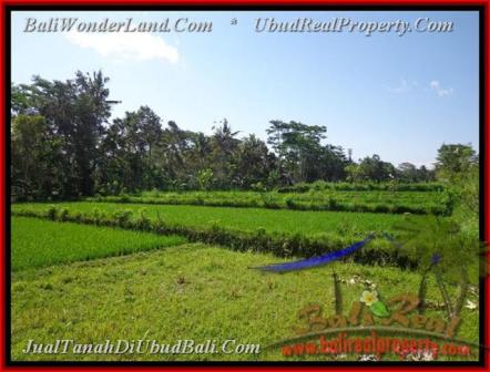 TANAH di UBUD BALI DIJUAL 28,85 Are di Ubud Pejeng