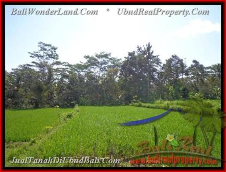 JUAL TANAH MURAH di UBUD 28,85 Are View Sawah dan sungai Kecil