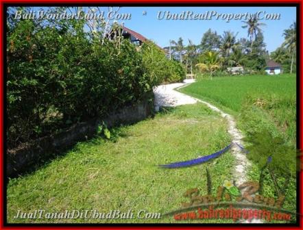 DIJUAL TANAH MURAH di UBUD BALI TJUB442